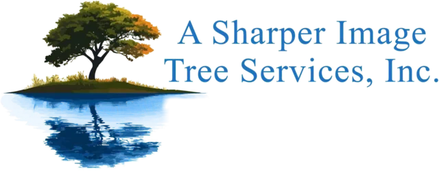 A Sharper Image Tree Services
