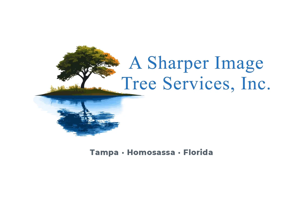 A Sharper Image Tree Services logo: tree service in Tampa and Homosassa, Florida