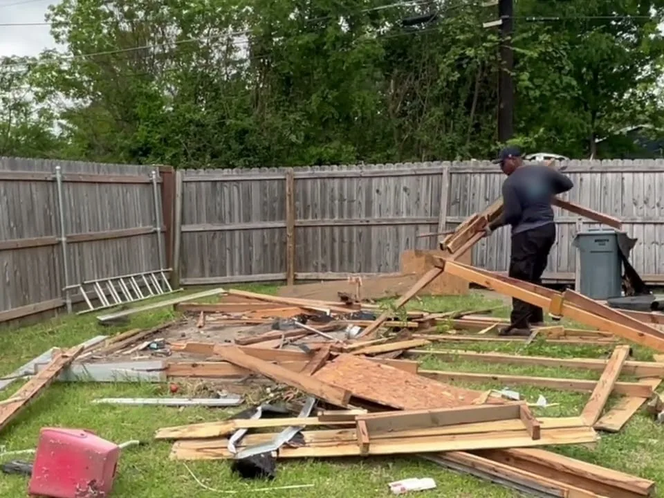 Shed demolition cleanup: a worker pulling apart the framing of a torn-down shed in a fenced back yard