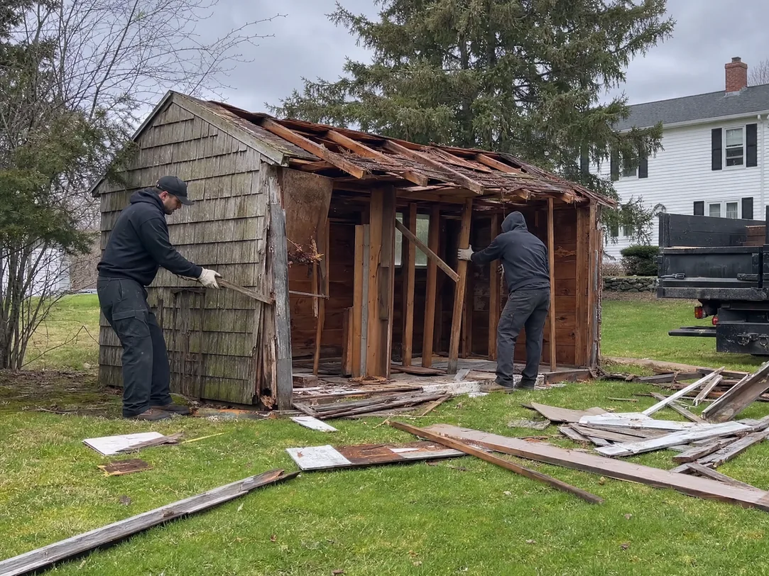 Shed demolition by hand: two workers pulling siding and roof boards off an old shed