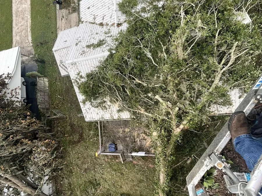 Emergency tree service: view from a lift basket of a fallen oak lying across a house roof after a storm