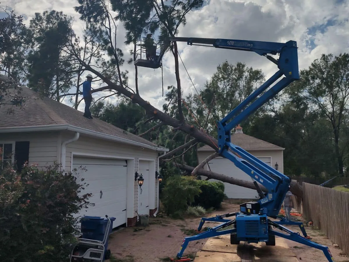 Emergency tree service in Tampa, FL: a tracked lift raising a worker to a pine that fell onto a garage roof