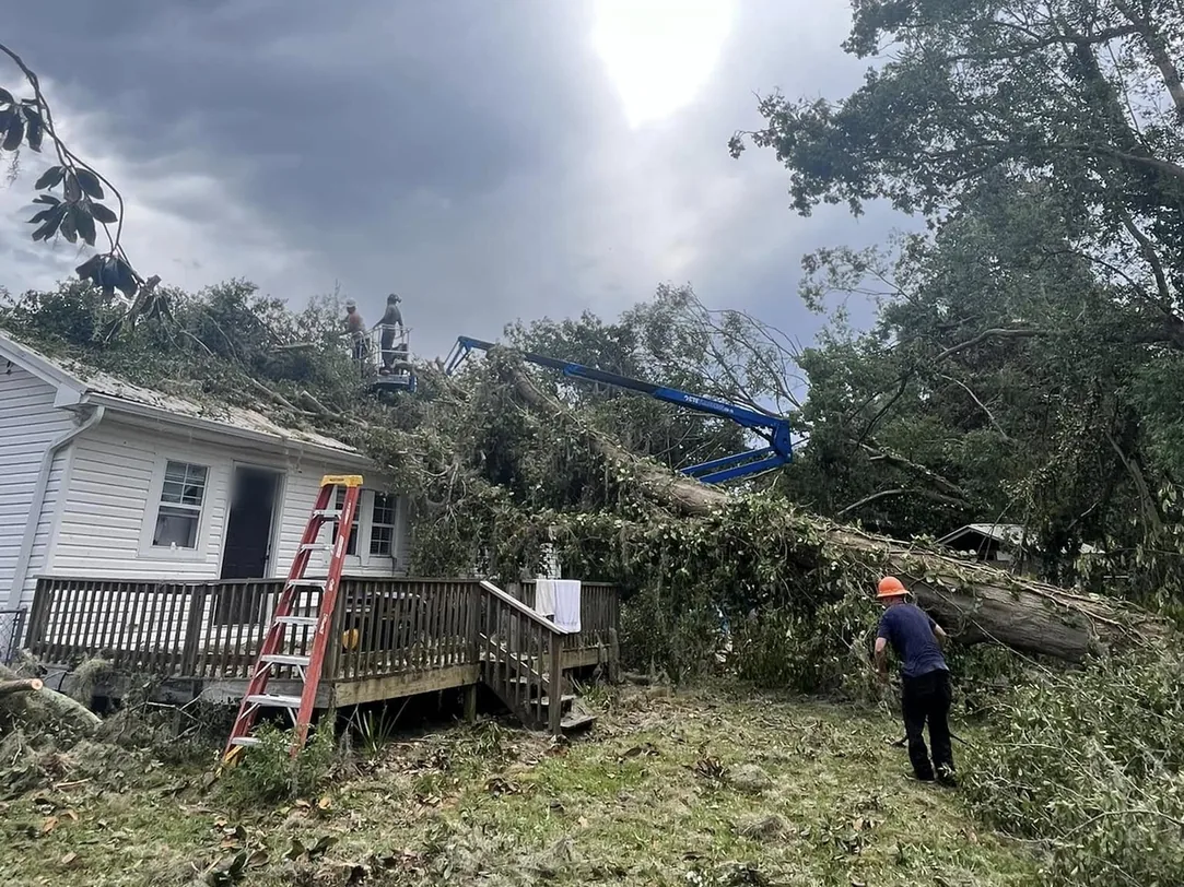 Emergency tree service after a storm: a fallen tree across a house roof, with a crew cutting it from the roof and a tracked lift