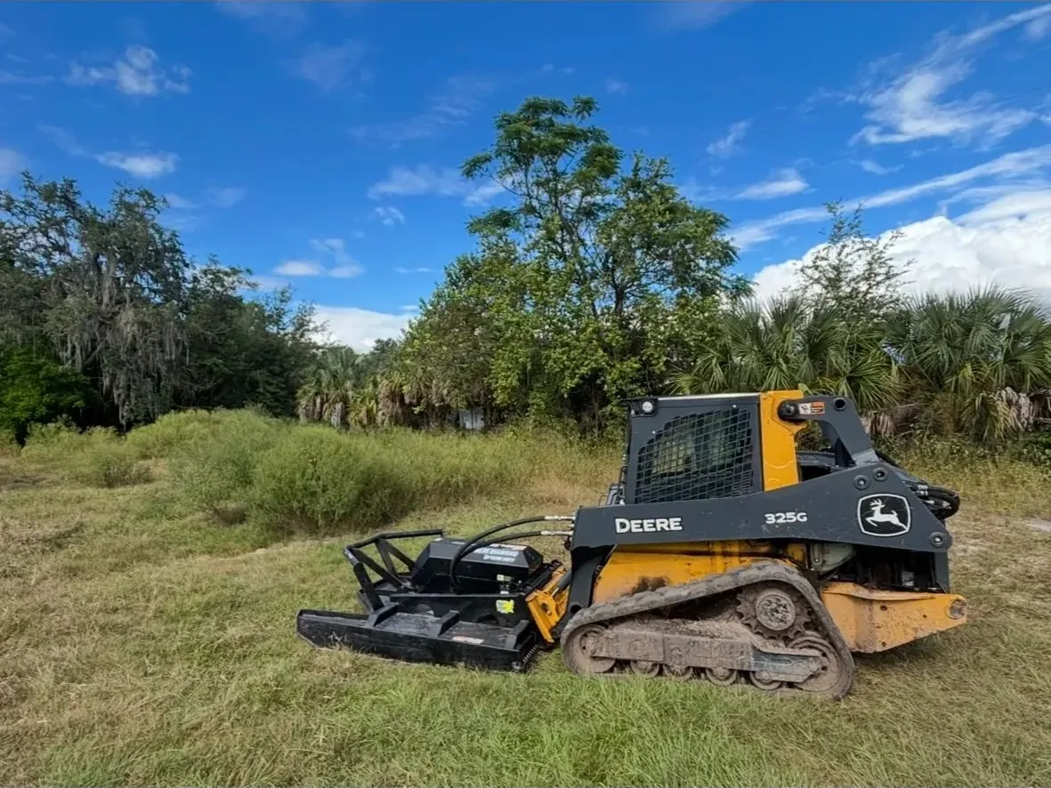 Forestry mulching: a compact track loader with a brush cutter in an overgrown field below oaks and cabbage palms