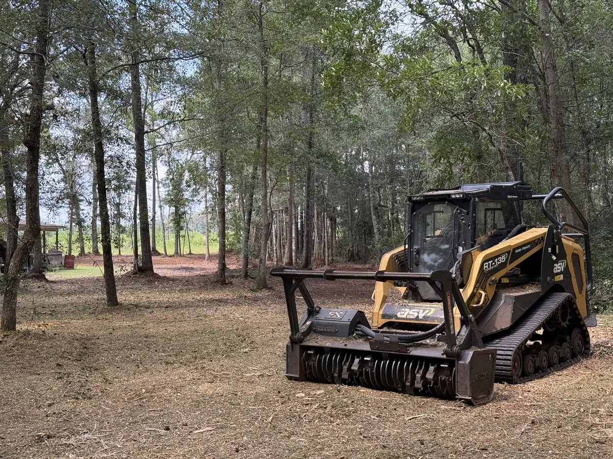 Forestry mulching in pine woods: a compact track loader with a mulching head on a freshly mulched forest floor