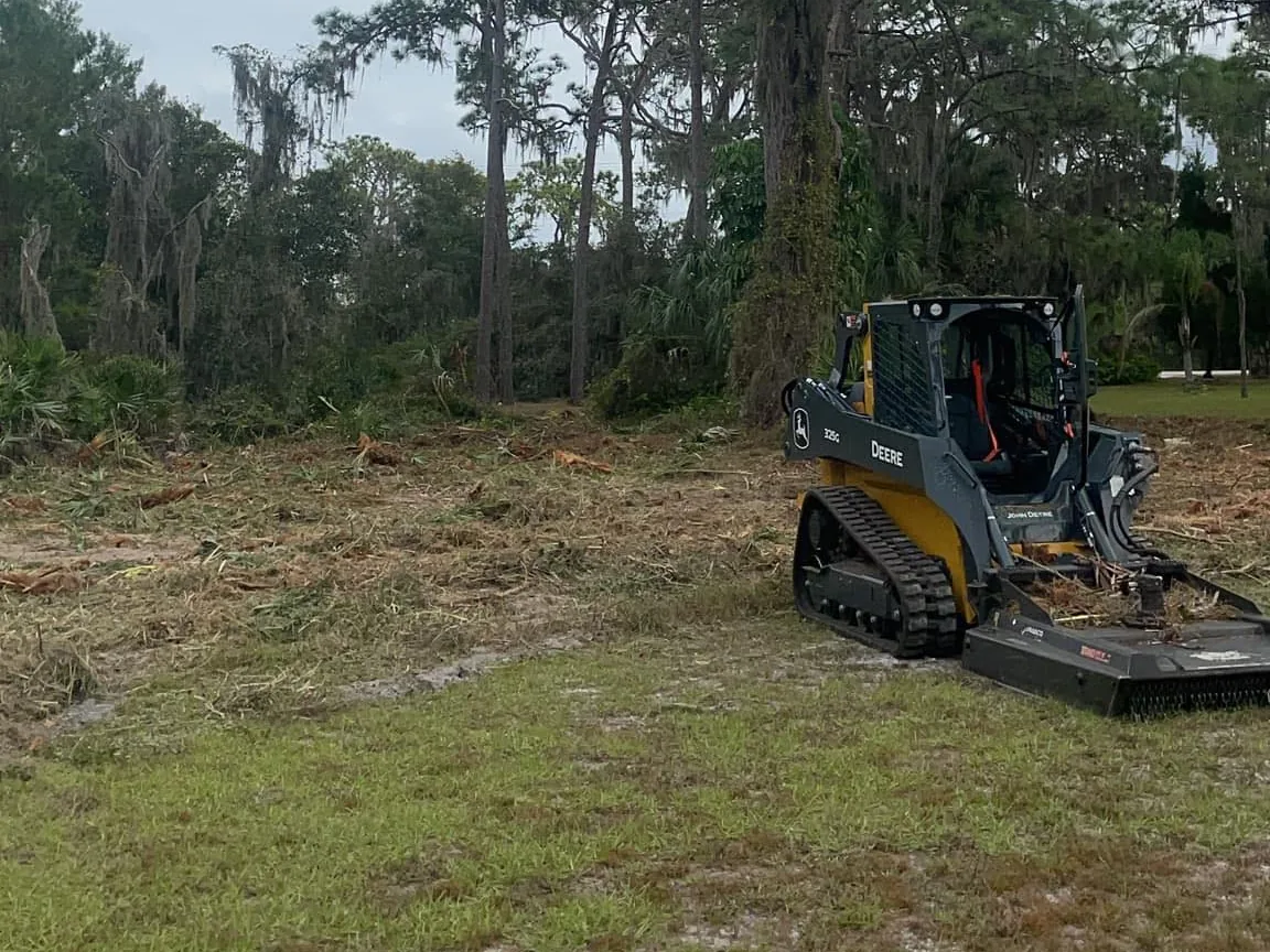 Forestry mulching in Tampa, FL: a compact track loader with a brush cutter on a freshly mulched lot, oaks with Spanish moss left standing