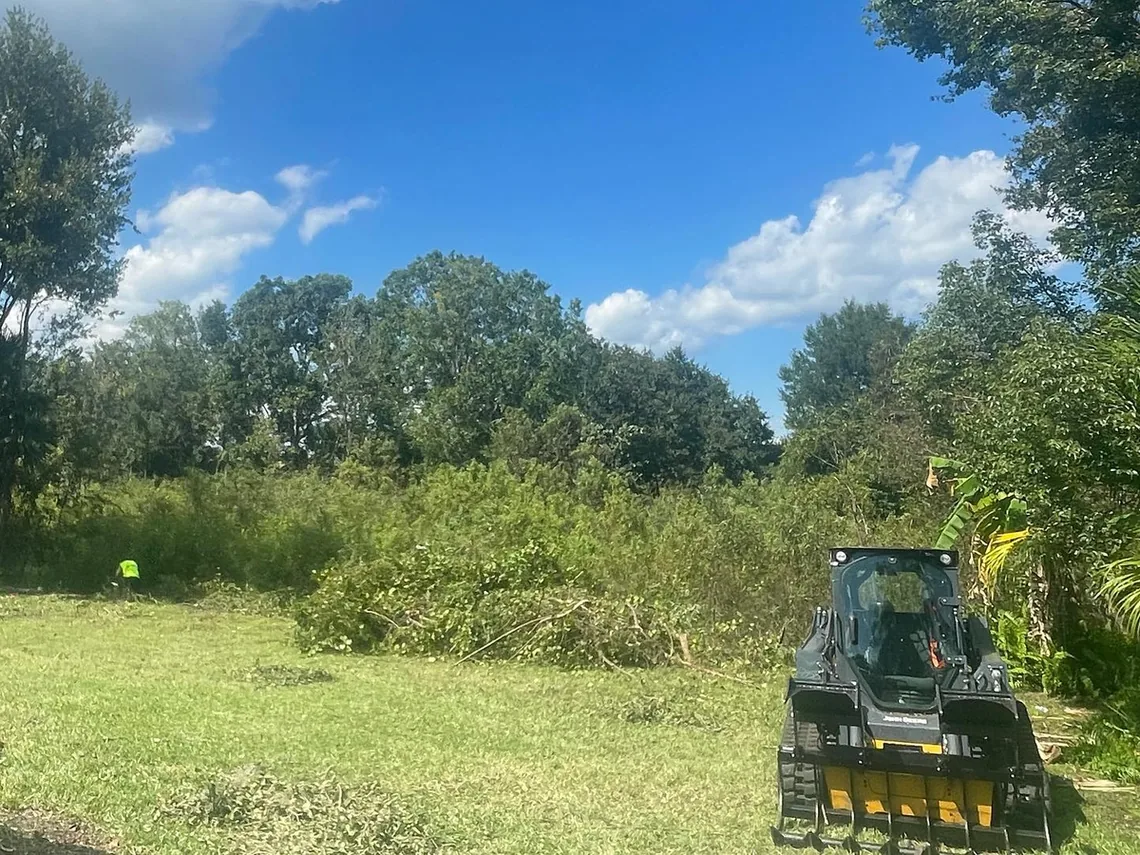 Land clearing on an overgrown lot: a compact track loader with a grapple rake working through thick brush