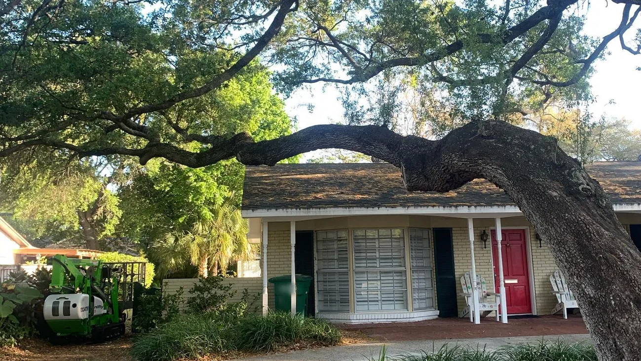 Large live oak limb arching over a one-story home, with a tracked lift ready for trimming