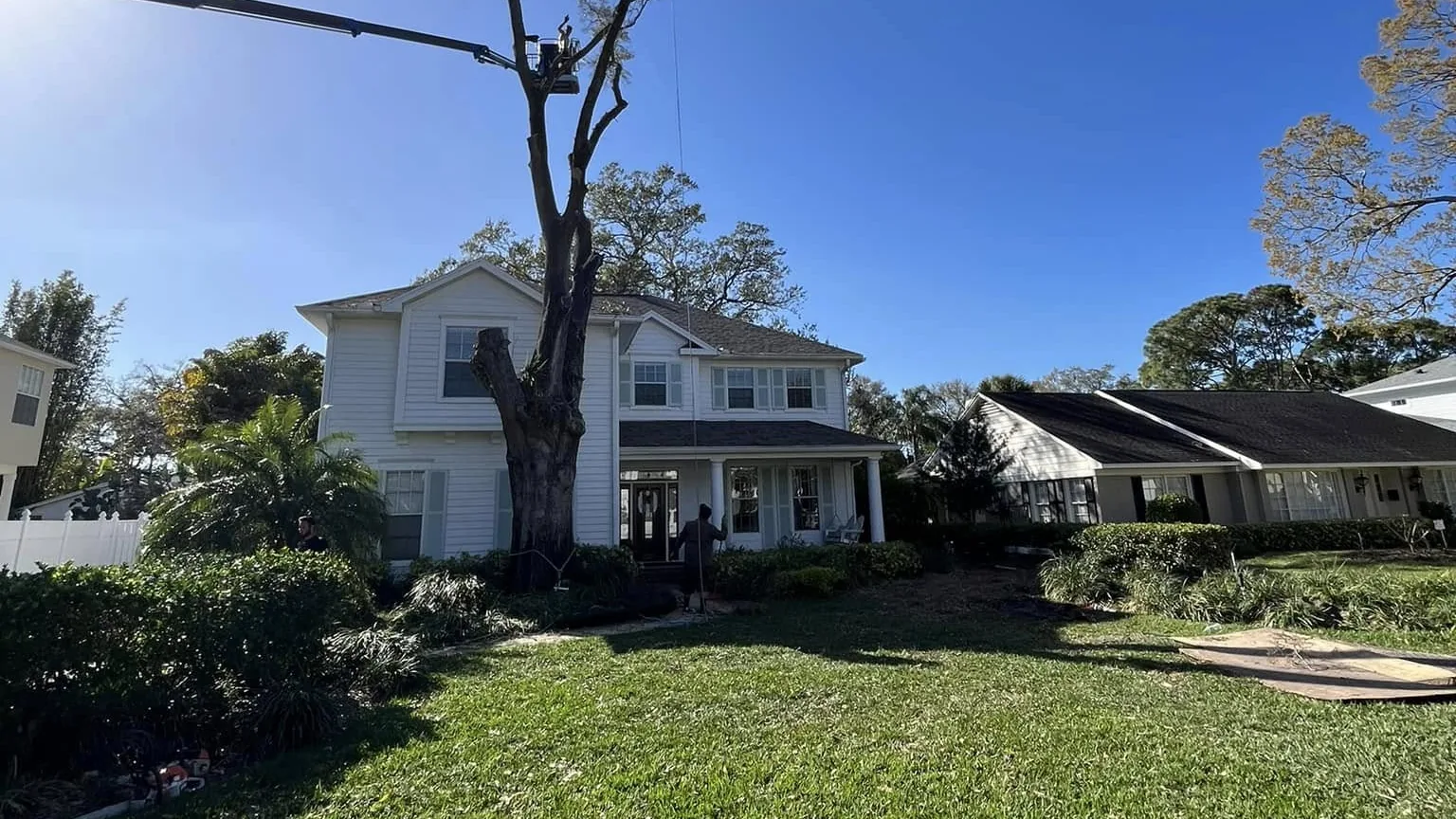 Tree removal beside a two-story home: a lift basket at the top of a tall, limbed-up dead tree