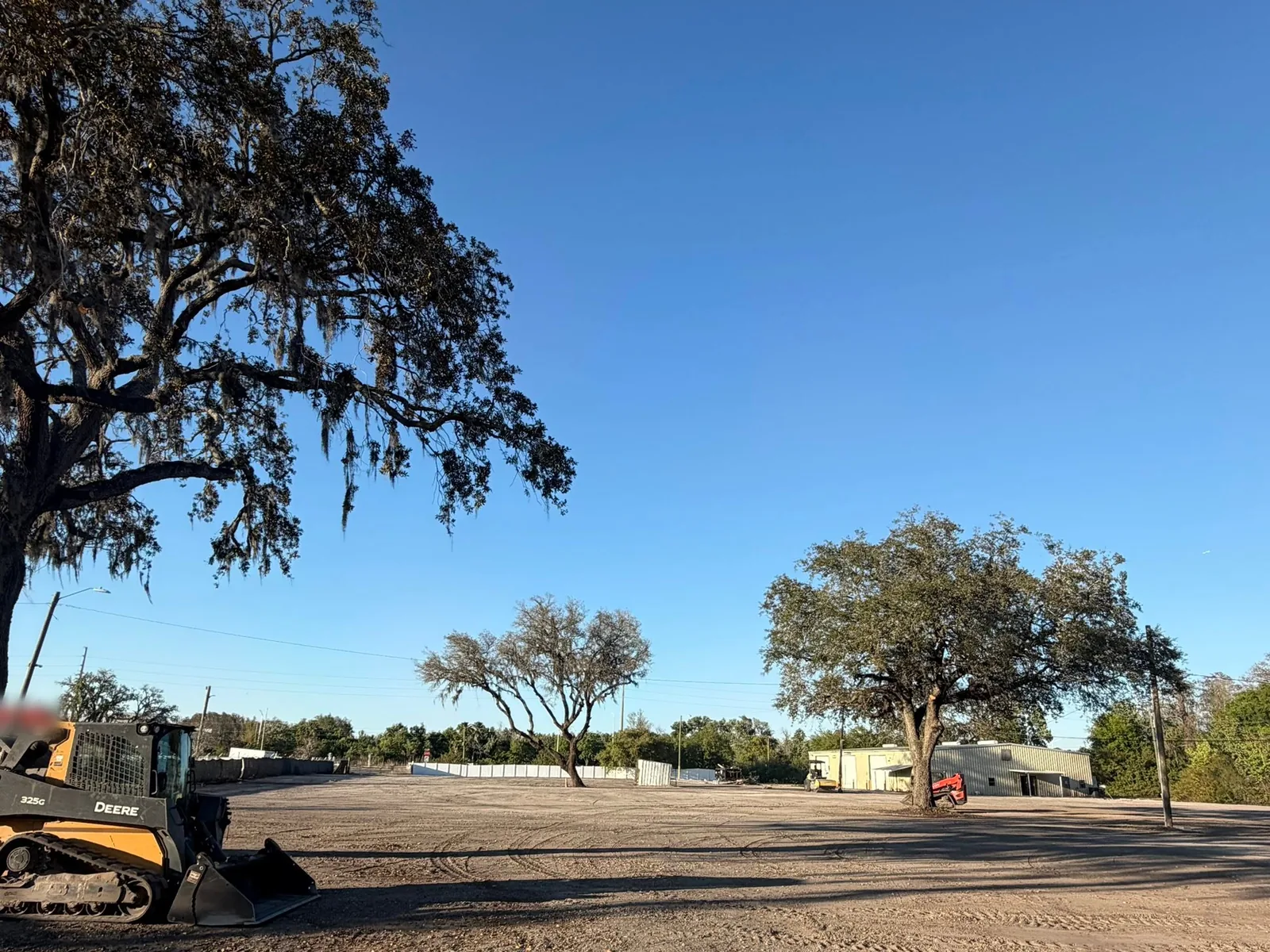 Site preparation in Tampa, FL: a large lot cleared down to bare sand with a compact track loader, a few oaks left standing