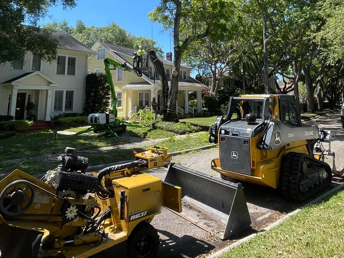 Stump grinding job on a residential street: a stump grinder and a compact track loader, with a lift working in a tree beside the houses