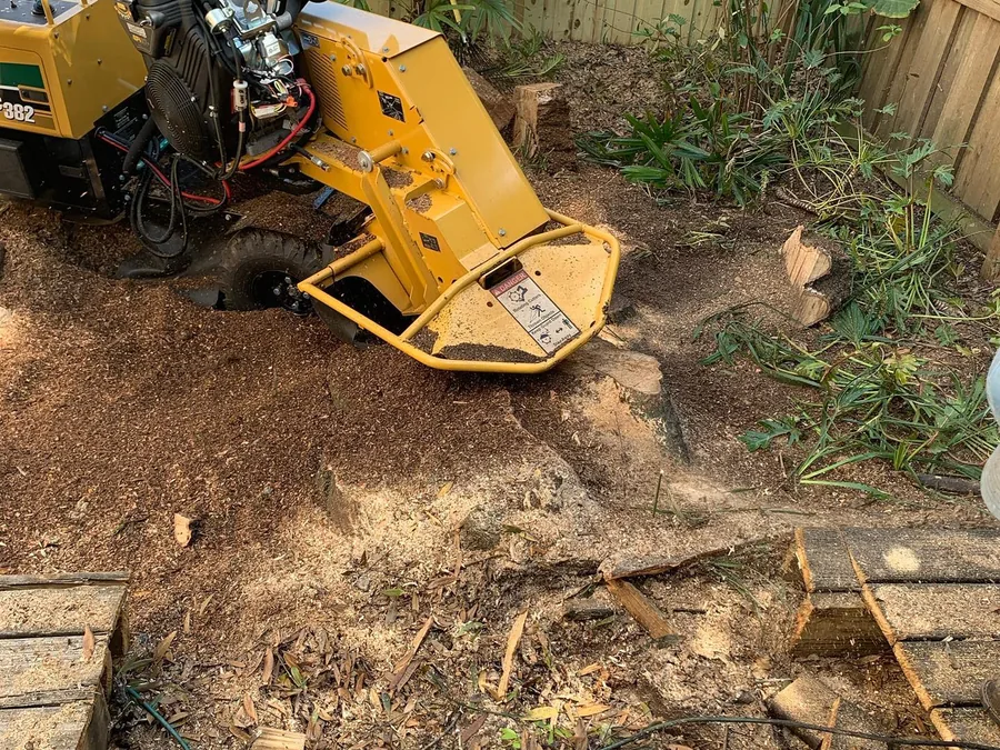 Stump grinding: a stump grinder cutting a stump down to chips beside a wood fence