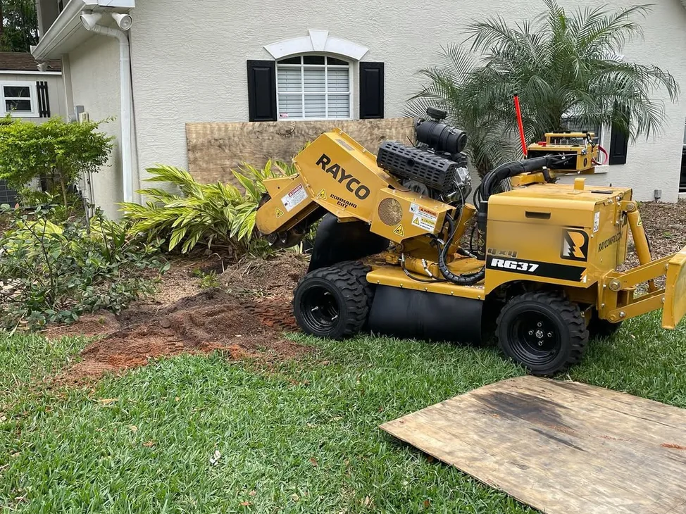 Stump grinding: a stump grinder at work at the edge of a lawn beside a house, with plywood laid to protect the grass