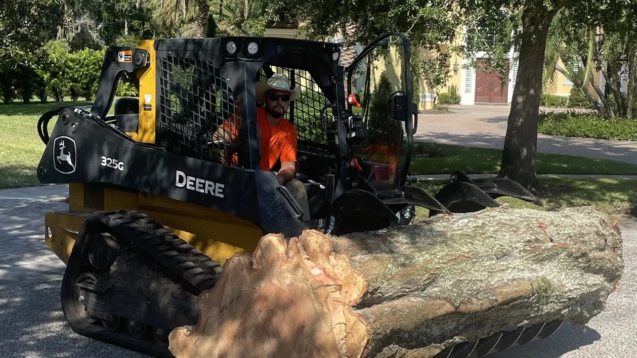 A compact track loader with a grapple carrying a large oak log down a driveway on a tree removal job