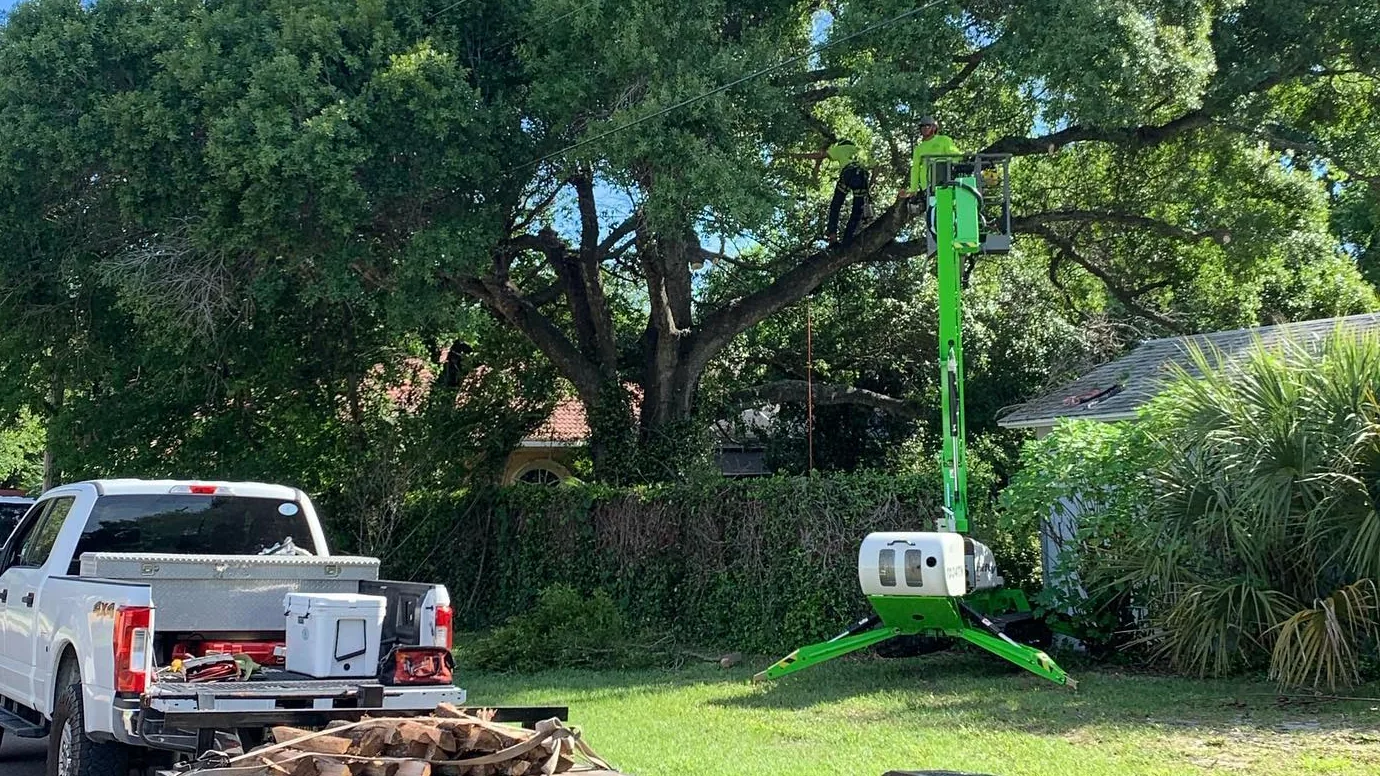 A tracked lift set up on a lawn beside palms and oaks, with a pickup truck and trailer parked by the curb