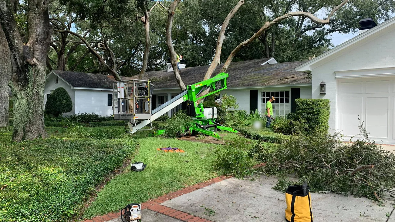 Tree service in New Port Richey, FL