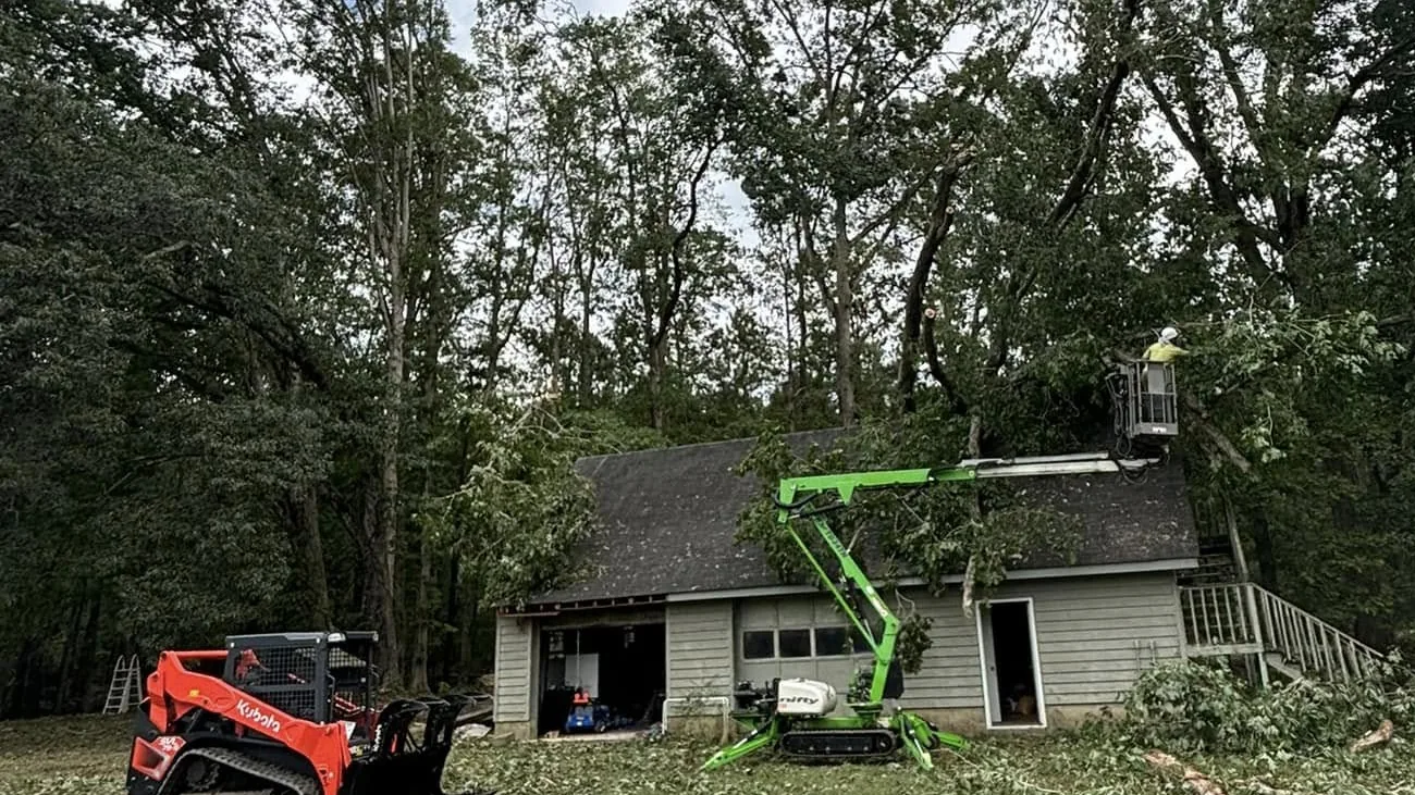 Tree service in Spring Hill, FL