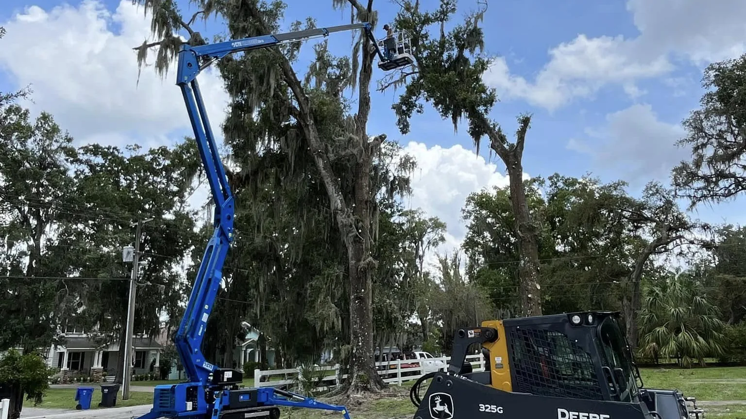 Tree service in Wesley Chapel, FL