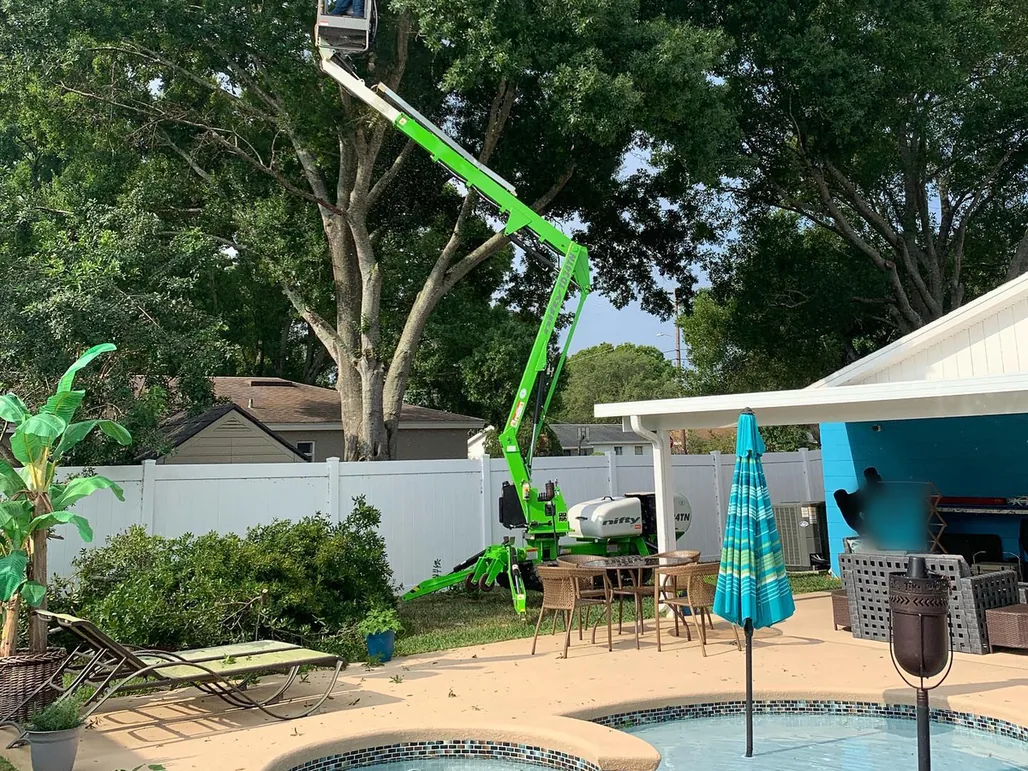 Tree trimming over a backyard pool: a tracked lift raising a worker into an oak canopy