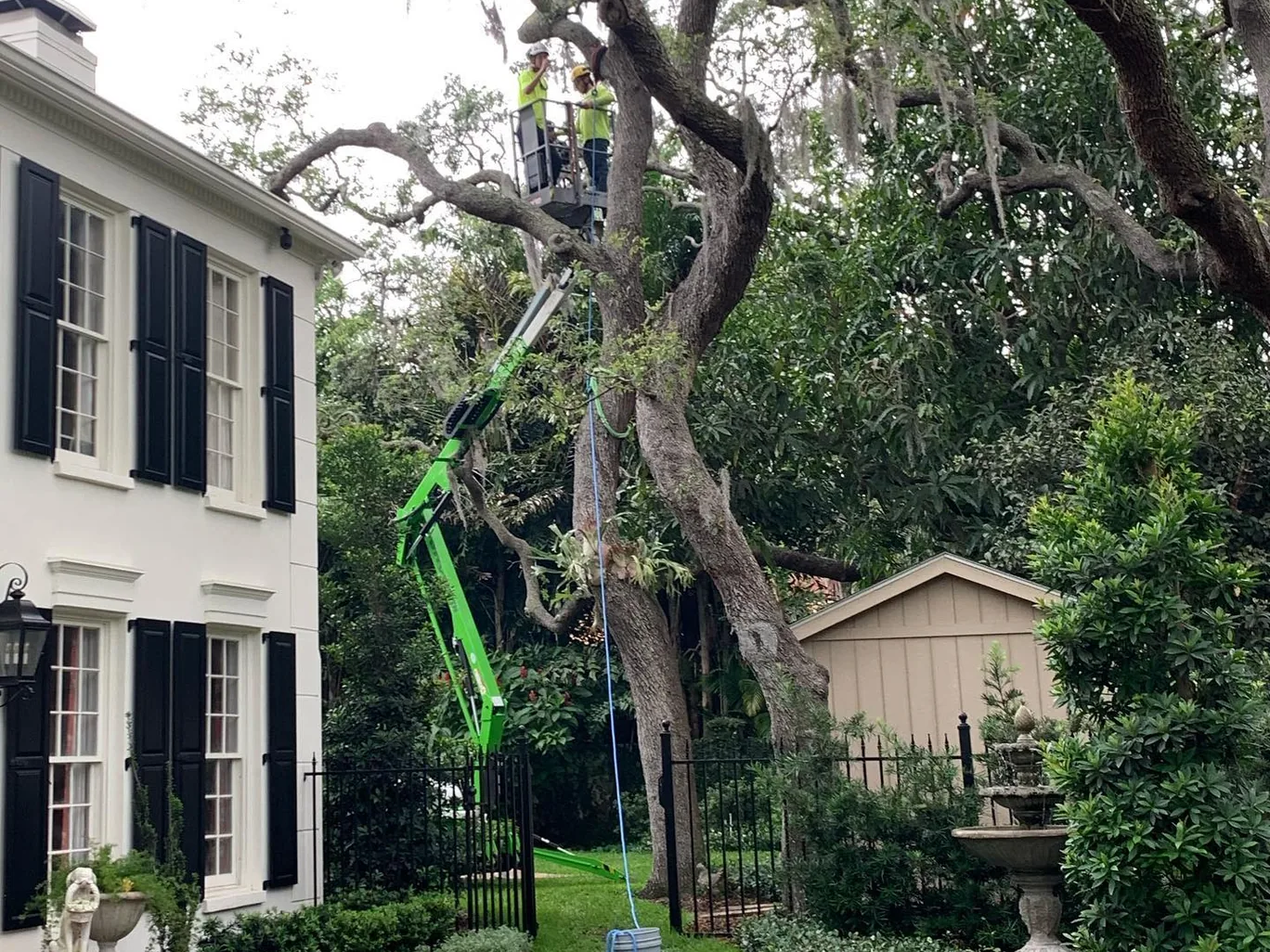 Tree trimming in Tampa, FL: two workers in a lift basket pruning a large oak beside a two-story house
